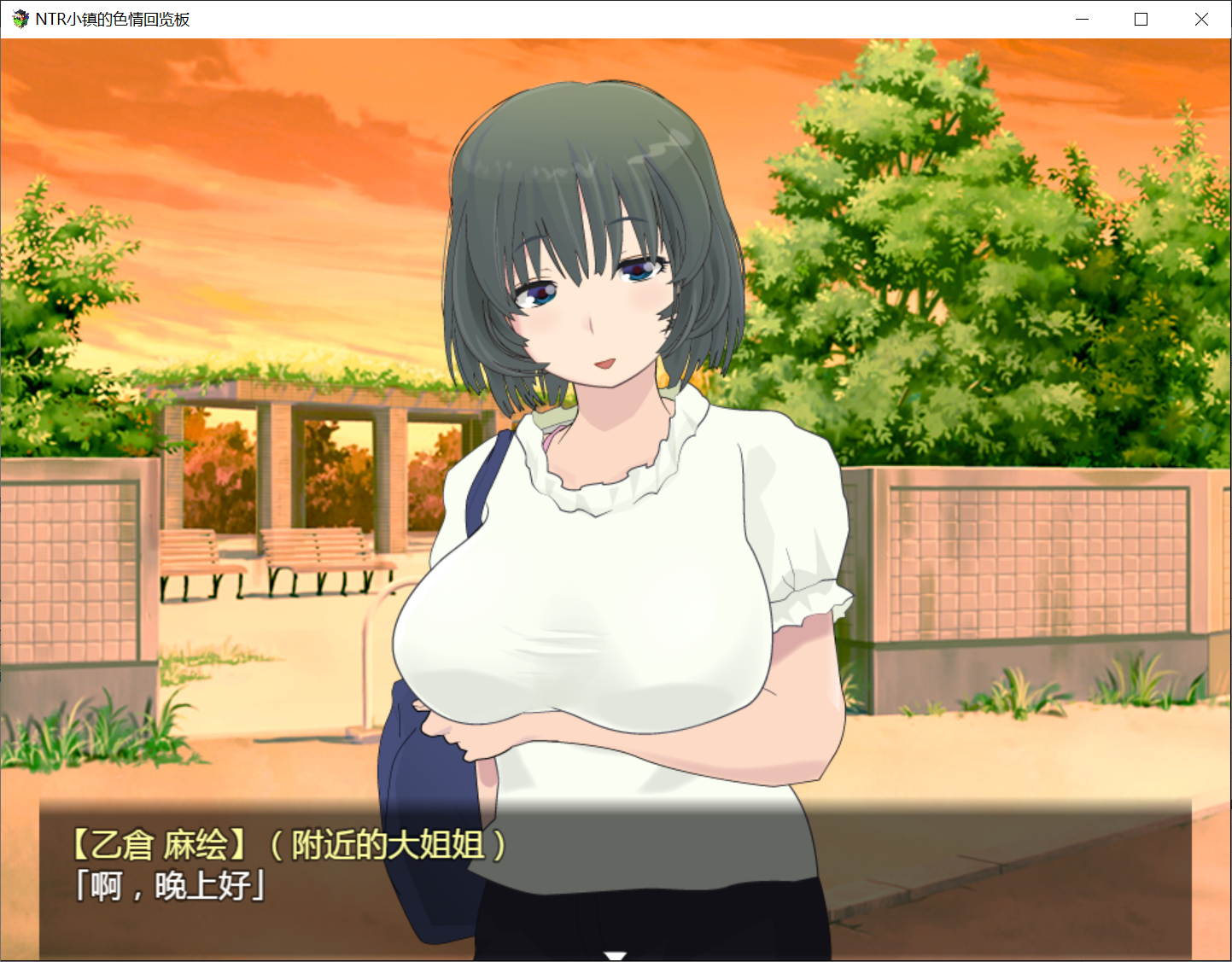 [PC-RPG游戏] NTR小镇的涩情回览板~开门即H！精翻完整汉化版