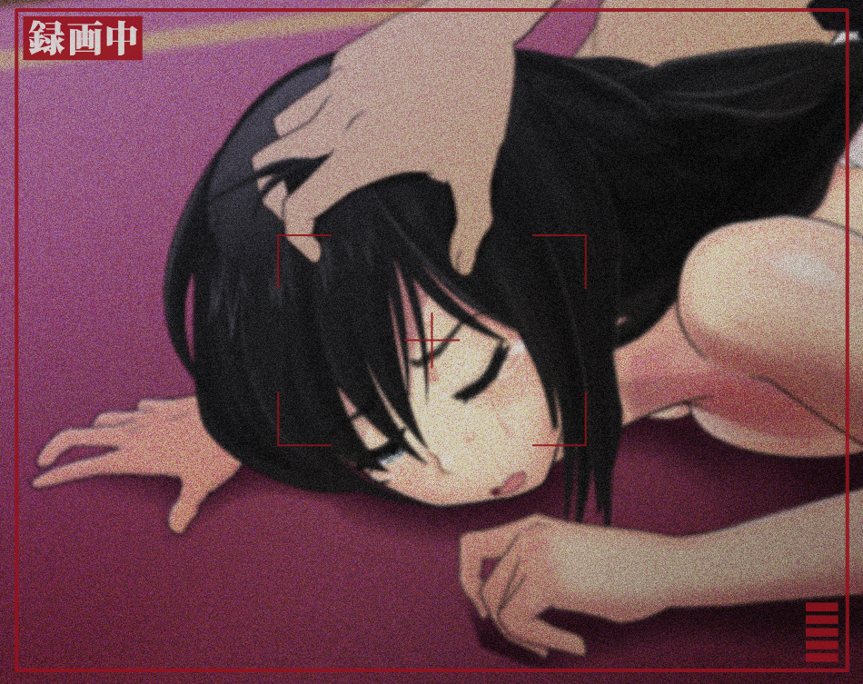 [PC生肉-ADV游戏] 【ADV/动态/舰娘/送动画】新人提督被绿记录 浜風等12人的秘密影像 艦娘たちのエッチな動畫これくしょん〜浜風と12人の被害者たち