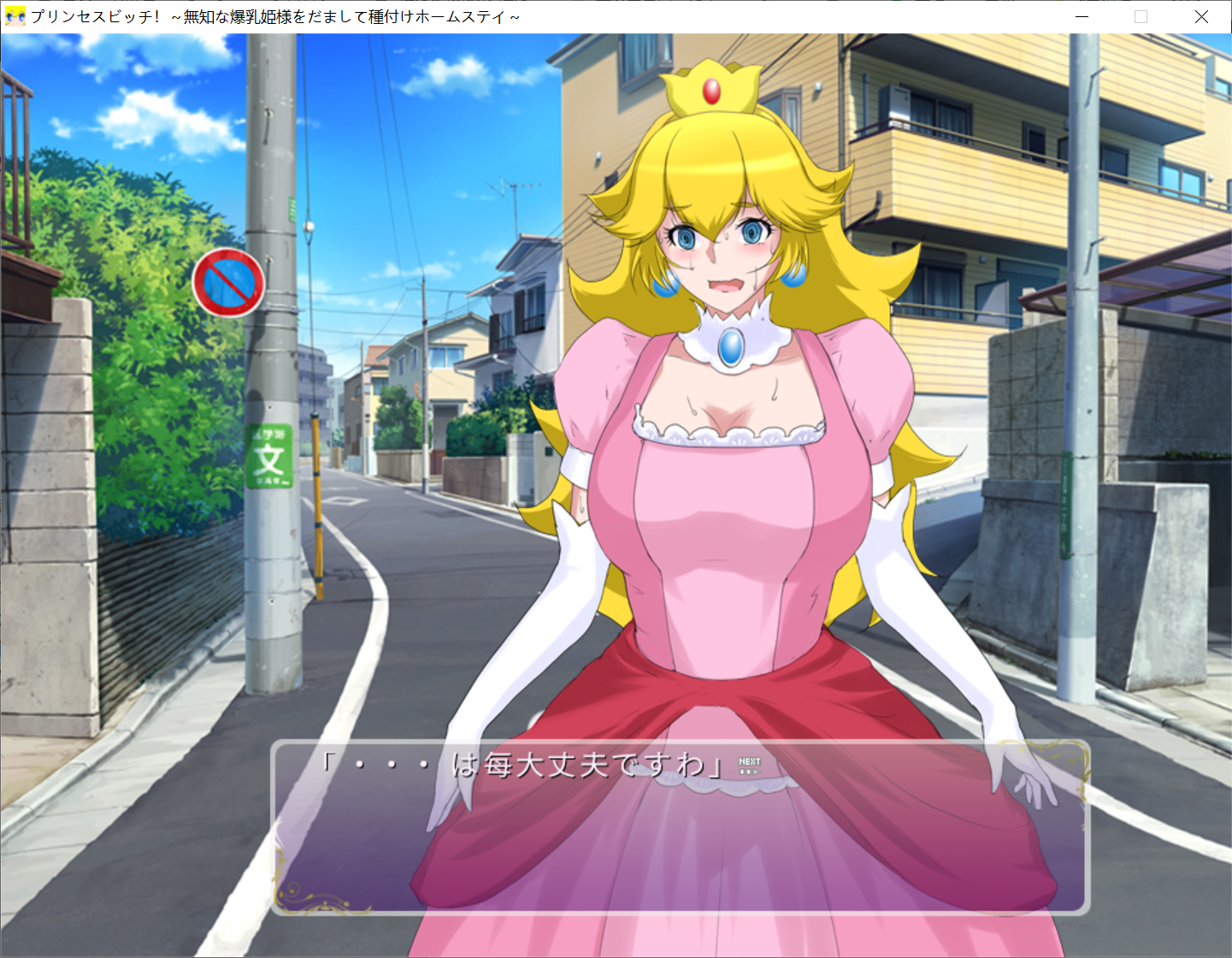 转区运行[PC生肉-ADV游戏] 【ADV/动态】碧琪婊子公主 無知な爆乳姫様をだまして種付けホームステイ【1G/度盘】