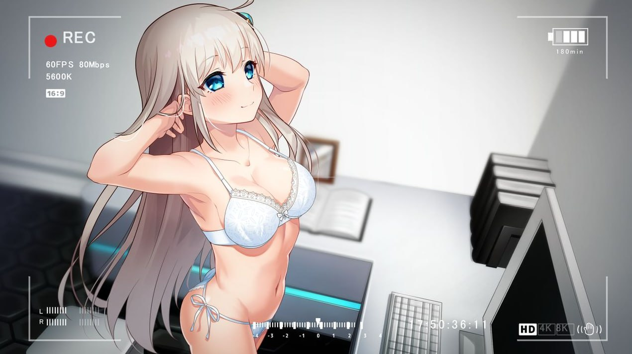 [PC-RPG机翻动画]公主协同效应 Princess Synergy 23年12月版[电脑2.46G/BD]