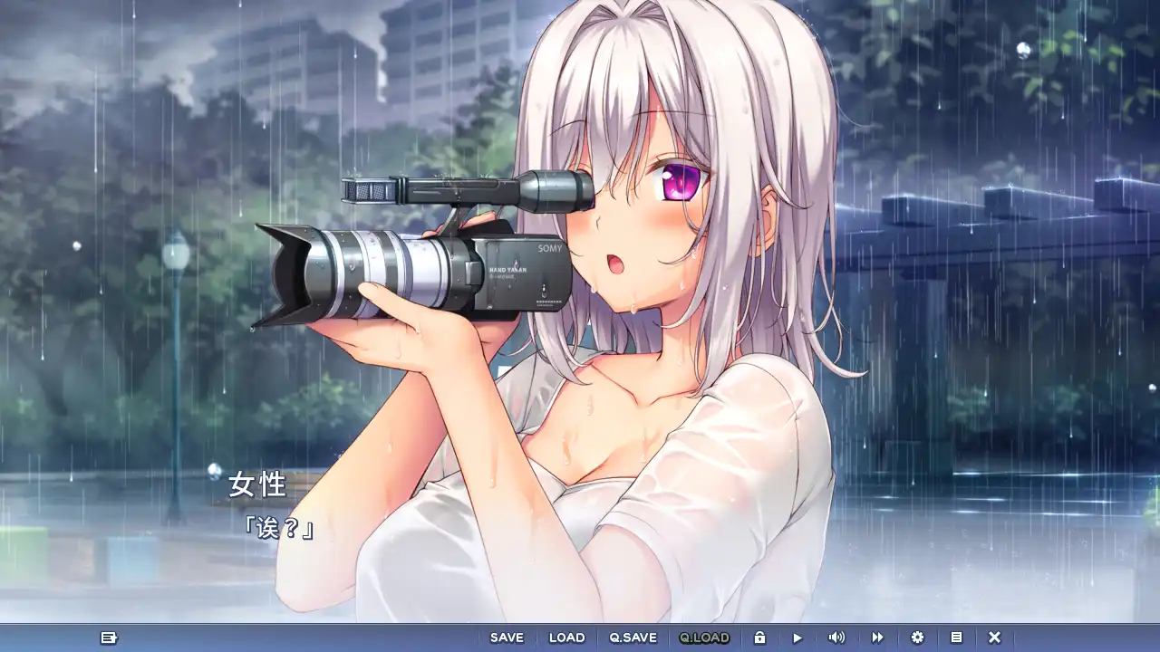 【PC硬盘】【GPT4.0 AI翻译】槇村葉月の恋語り【1.3G】