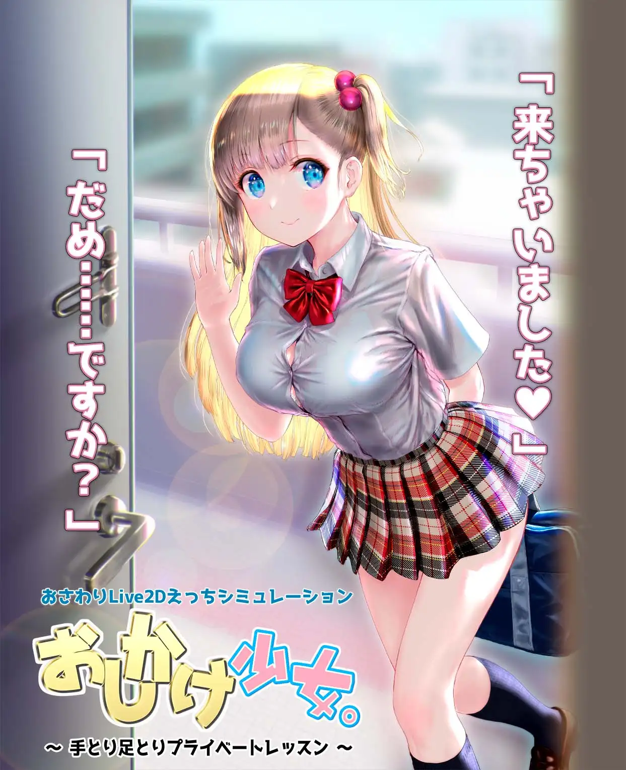 [PC生肉-SLG游戏] 【SLG/触摸/全程动画】跟踪少女一对一私人教学/おしかけ少女。～手とり足とりプライベV1.10【400M】