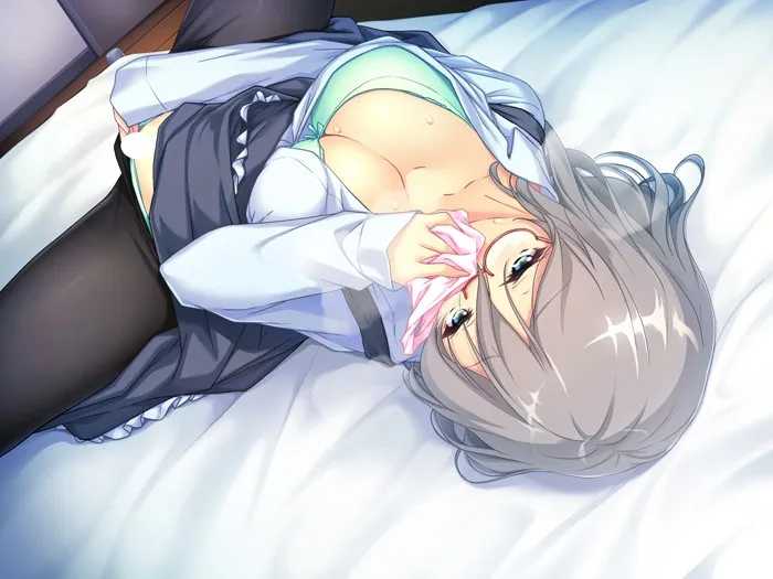 [PC生肉-ADV游戏] 【拔作ADV/全CV】三无姐姐观察日志：拍到了香艳的录像呢~DL版/クーデレ姉ちゃん観察日記【500M】