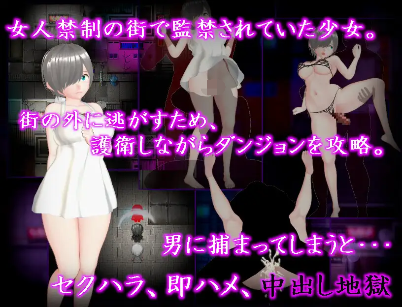 [PC-RPG游戏] 【RPG/机翻/新作/NTR】蜘蛛と蝶々 [度盘]【1.41G】