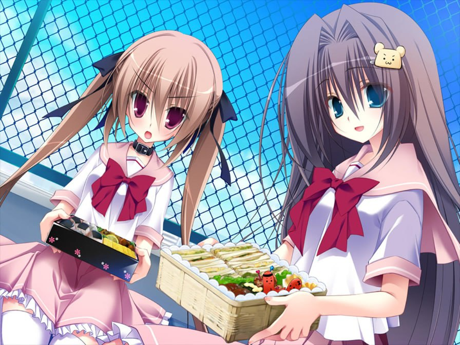 【PC-ADV游戏】【经典老游戏/NTR？】妹调教日记 【2G】