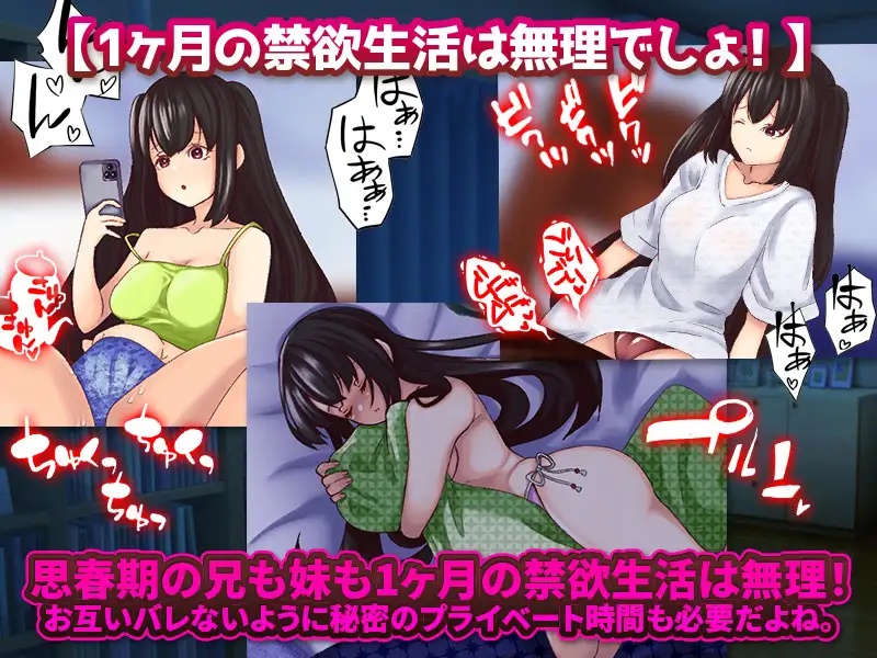 [PC-RPG游戏] 【RPG/新作/机翻】青春期妹妹一个月的同屋生活/ 妹と1ヶ月の相部屋生活【400M/度盘】