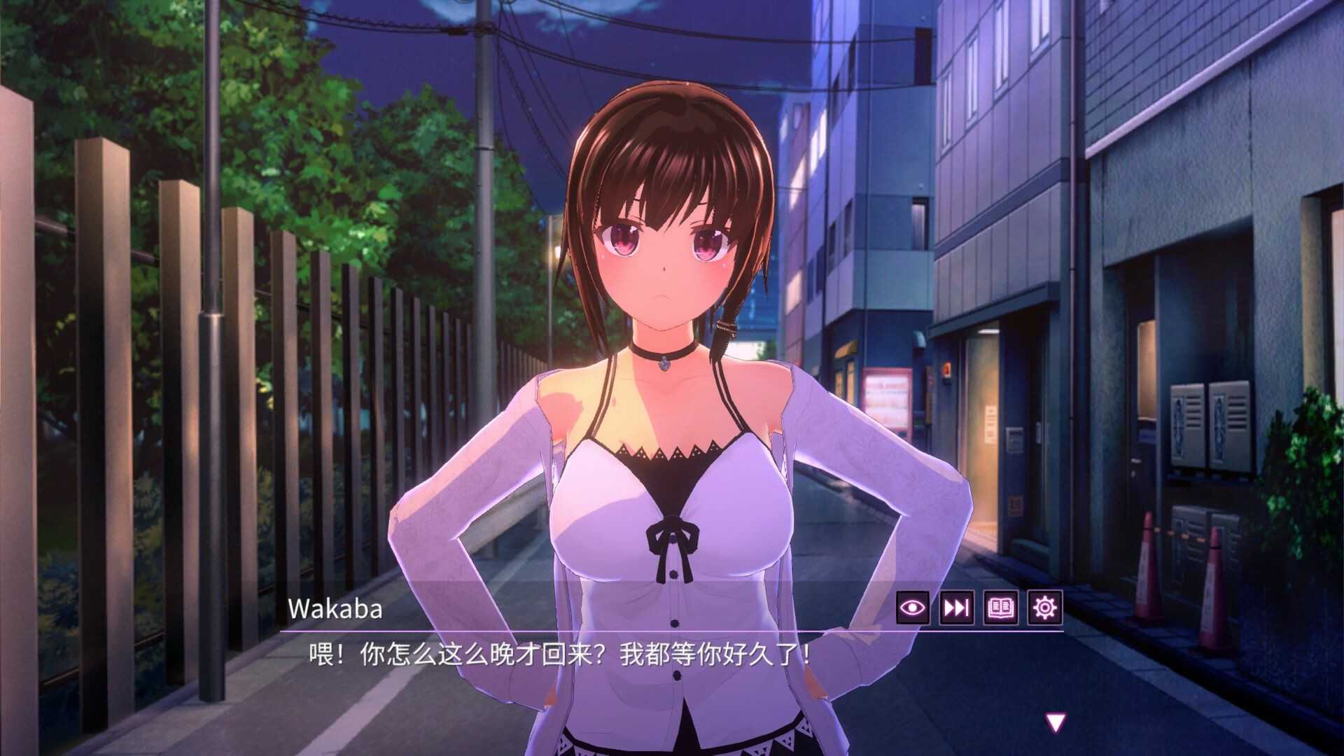 [PC-SLG游戏] 【SLG/官中】One Night ~仅限一夜的幼妻~ Ver1.10 官方中文步兵版【200M】