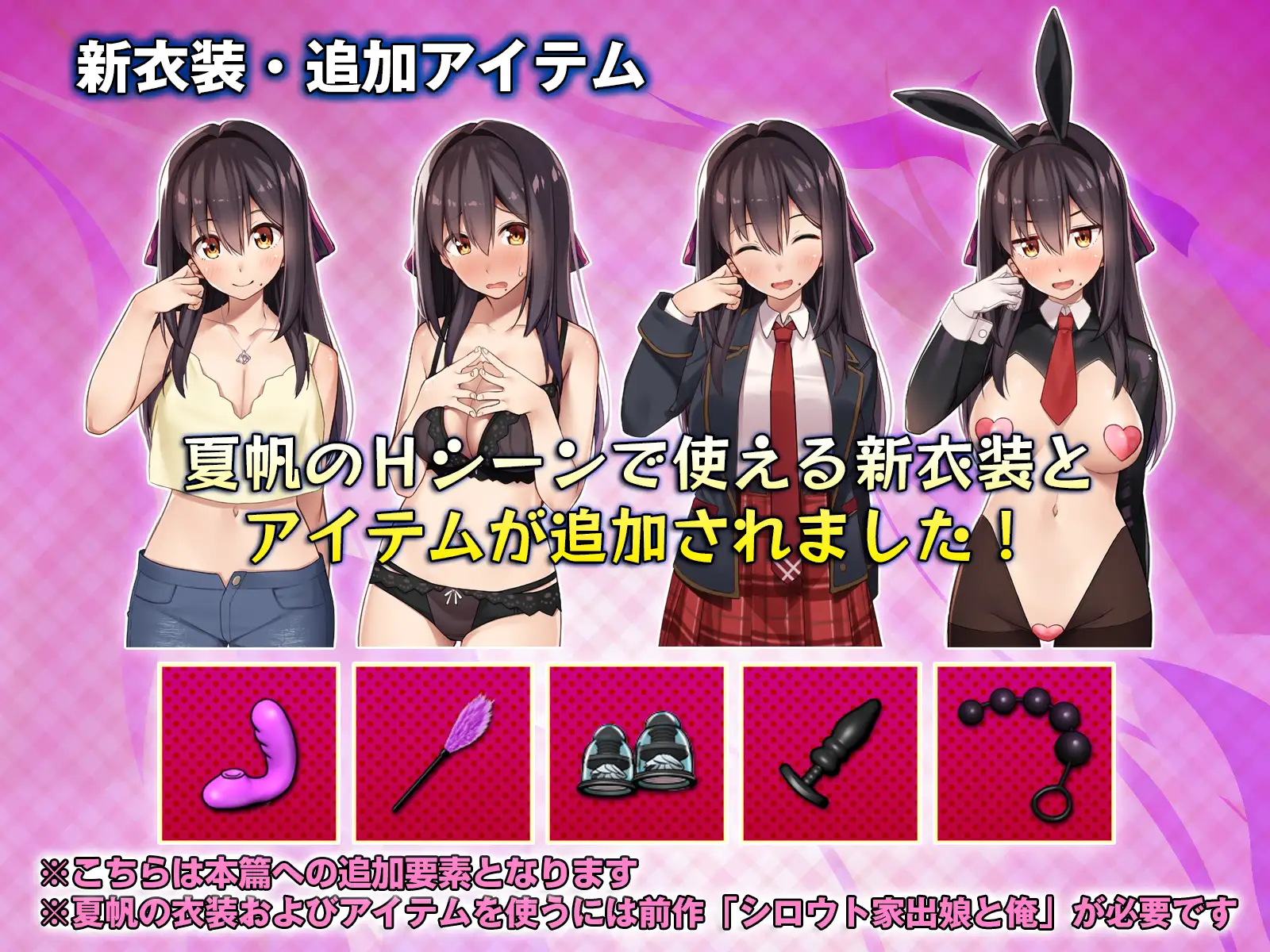 [PC生肉-SLG游戏] [SLG/PC] 外行离家少女与我 甜蜜时光 シロウト家出娘と俺 Sweet Days+外行离家少女与我 [2G]