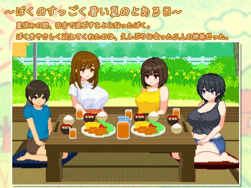 [PC-SLG游戏] [爆款SLG/汉化/小马拉大车] 我与夏日里的姐姐们 ぼくと夏のおねえちゃん達 AI汉化版+存档 [1G]