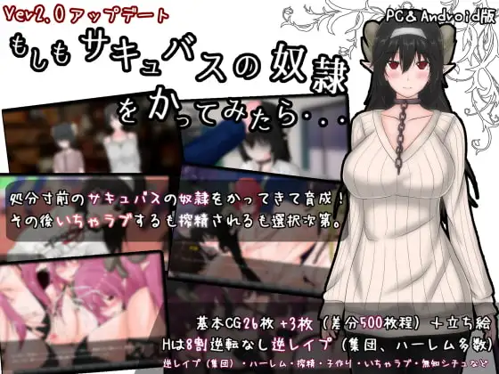 [PC/安卓-日式RPG/新汉化] 如果试着买下魅魔奴隶 もしもサキュバスの奴○をかってみたら Ver2.2 AI汉化版 [2.10G]