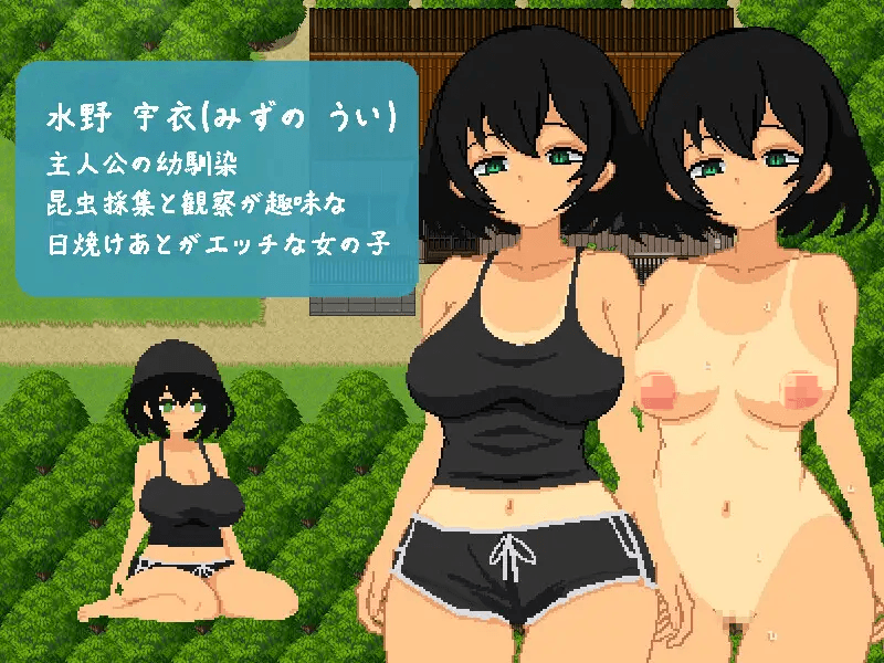 爆款[PC/安卓-日式SLG] 与青梅竹马共度的夏日7日间 おさななじみと夏の7日間 AI汉化版+存档 [580M]