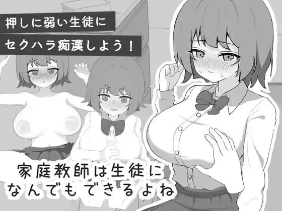 [PC-日式SLG] 家庭教师对学生什么都能做吧 家庭教師は生徒になんでもできるよね 内嵌AI汉化版 [140M]